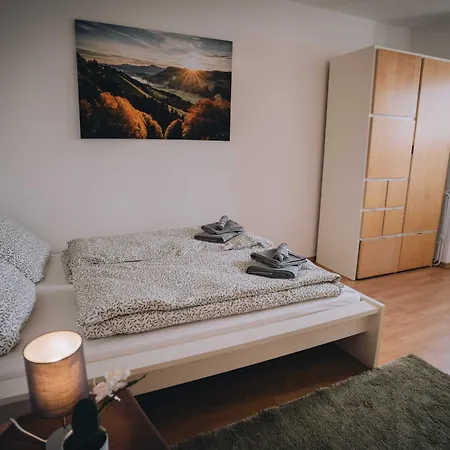 Adlerhorst Bright And Stylish With Mountain View Apartment
